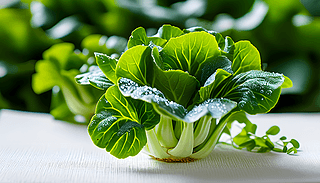 ׮Сײ˵rcҕXʬF(xin)