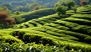 ~Nֲ@ڹӰչF(xin)r(nng)I(y)ˇg(sh)