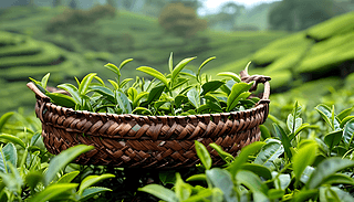 ~Nֲ@չF(xin)Ȼcr(nng)I(y)ĺCں_4