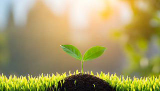 ɫӿF(xin)ľGɫֲ?k)oȻh(hun)