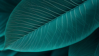 ˇg(sh)ПᎧ~}ď(f)sD