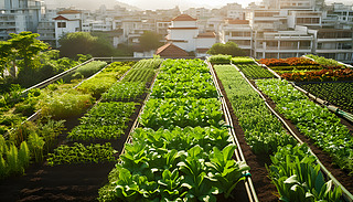 CľGɫֲڷֵĻ@ѳL