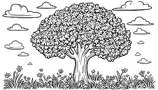 C(j)ľGɫֲL(fng)ĴuѳL