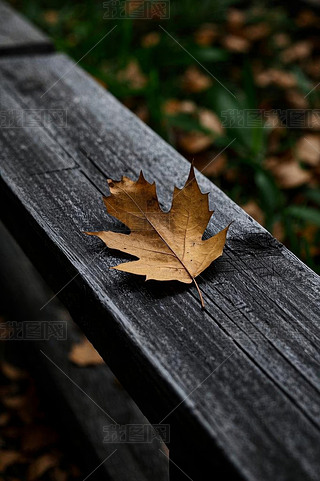 һ˂ڹ@Lϲʳ~DƬ