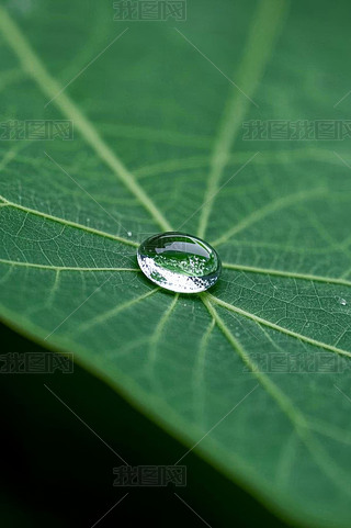 Gɫ~ϵˮ،DƬ