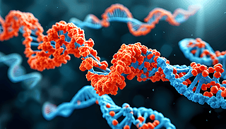 {׿לyg(sh)򵰰׻ͻ׃