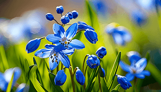 {(ln)ڴ컨еľG،չF(xin)