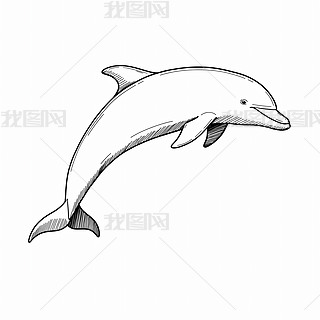 ˇg