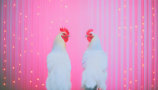 r(sh)ڳMķɫǰ[˄(sh)չʾ(chung)