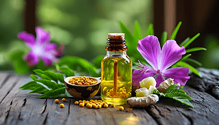 ݠˎȡȻ͏(f)L(fng)1