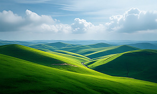 ɽnϵľGɫ