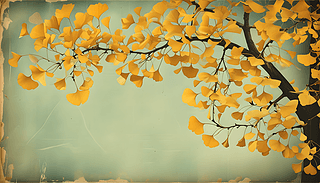 (f)űyӵă(yu)չF(xin)