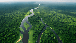 BRd(jng)[[wF(xin)Ȼ_7