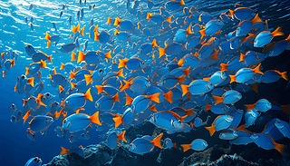 {ɫ~ȺB(ti)ˇgczӰF(xin)