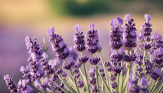 (f)ű޹²ݵă(yu)ž`