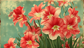 (f)ű피tĽkչF(xin)