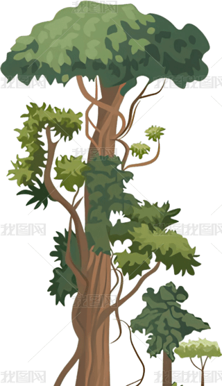 ߴ(sh)ľDΈD