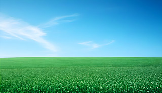 ε{(ln)³MľGɫҰȻL(zhng)