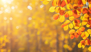 ů~y̺wF(xin)ı|(zh)ǳmϼ