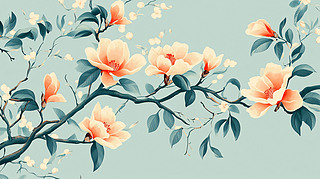 »֦DƬ