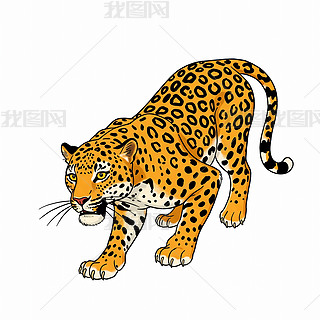 ޻