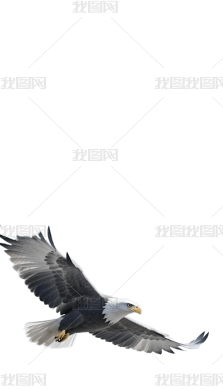 Ȍɐ