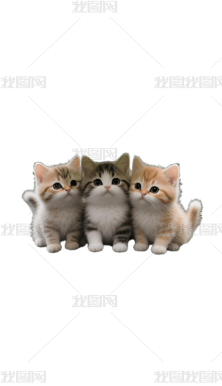 ۿɐȌ֙Cڼ