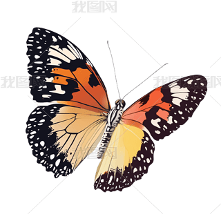 宋L(fng)ļx(dng)⓸Ԫ