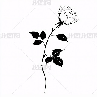 ڰ׺(jin)s֦õ廨宋