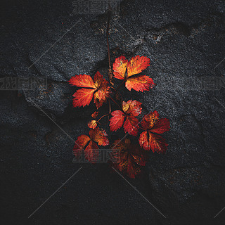 ֲt~