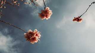 {ӳrµċGѻ