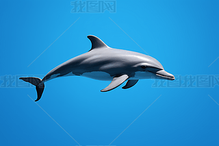 {ĺ