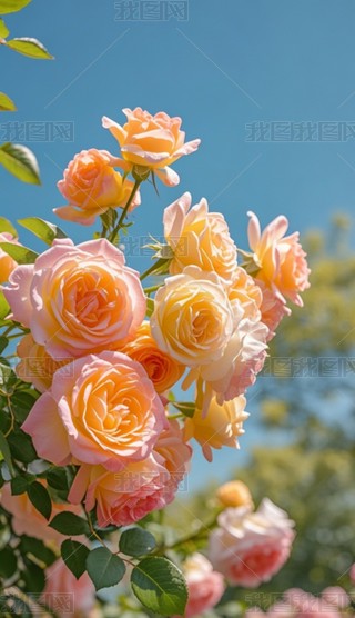 {(ln)ɫһïʢõ廨zӰD