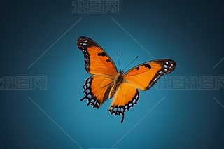 һֻڿwDƬ