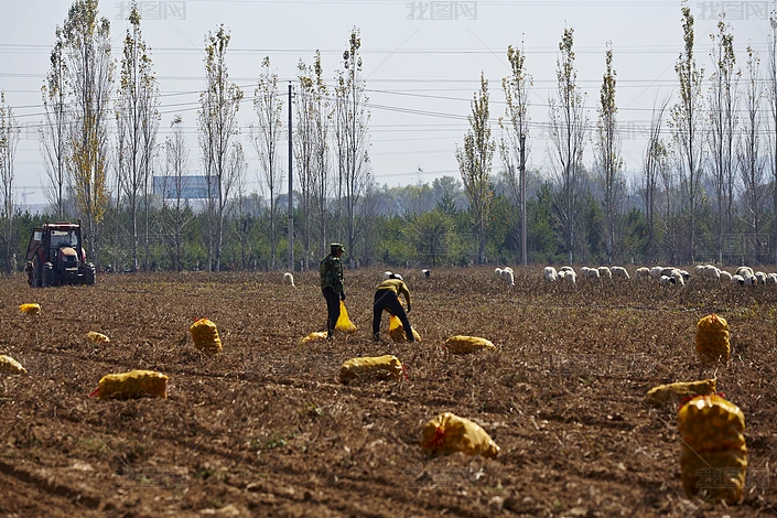 zӰD