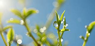 ѿ¶΢L(zhng)ϣȻB(ti)