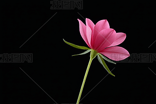 ɫϵĻƿһۼtɫĻDƬ