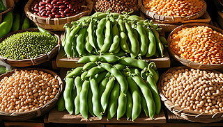 r(nng)a(chn)ƷL(fng)չʾ