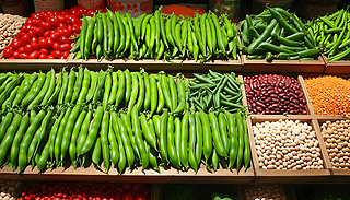 Ƕr(nng)a(chn)Ʒչʾ