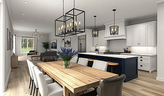 F(xin)sL(fng)_ʽN͏d