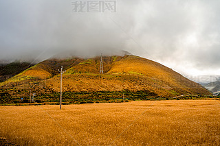 L(fng)DЇ(gu)ԭL(fng)