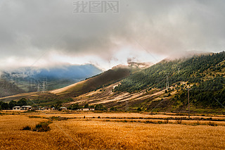 L(fng)DЇ(gu)ԭL(fng)