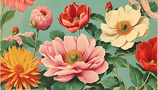 o(j)(f)ŻܵĲɫˇg(sh)D