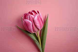 ۼtɫıһۼtɫĻ