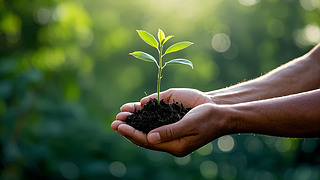 ֲ九(ji)ph(hun)o򱳾