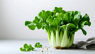 rGСײڼɫеă(yu)չʾ4