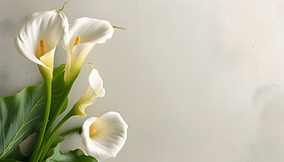 ɃRɏˇg(sh)gչF(xin)