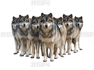 (sh)Ұ(dng)Ⱥ⓸Ԫ