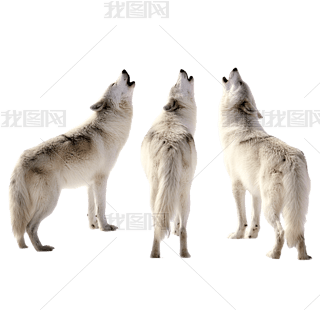 (sh)Ұ(dng)Ⱥ⓸Ԫ