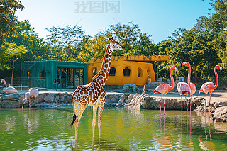 L(zhng)i¹cBĄ(dng)@D